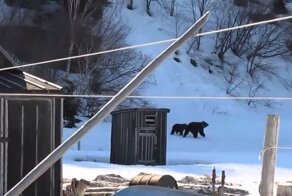 Это Россия!!!Убедительная просьба не показывать американцам!)