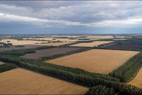 План преобразования природы, как суровая необходимость.