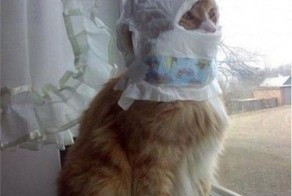 Смешные рисунки