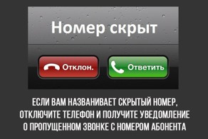 Полезные факты