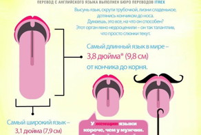 15 фактов о языке