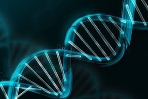 Генетический хаос