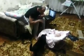 Кот защищает ребенка