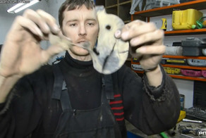 Почему китайцев так много