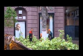 На волоске от гибели 