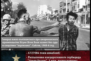 Внедрение демократии. Фирменный стиль США.
