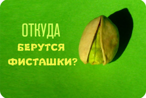 Как выглядят 19 популярных продукта до сбора урожая
