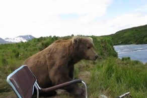 Сходил на рыбалку и скорешился с медведем