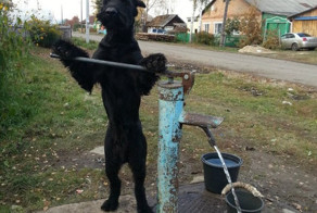 Хозяйственный