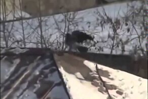 Покоритель вершин