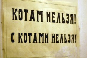 Есть надписи на русском языке
