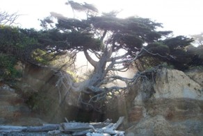 Фото онлайн