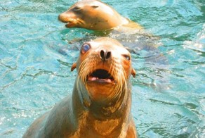 Когда проснулся после пьянки