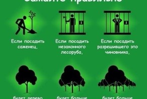 сажайте правильно