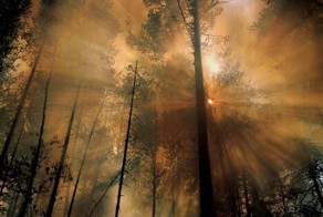 Красивые фото