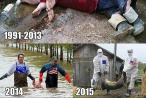 &quot;Мыздобулы&quot; в картинках. Смешные и не очень... Ч.25