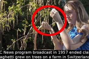 20 лучших корпоративных розыгрышей