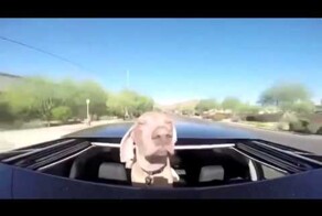 Навстречу ветру