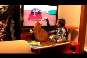 Кот с ребенком смотрят телевизор