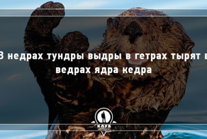 10 скороговорок про животных