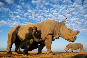 Единственный в мире северный белый носорог