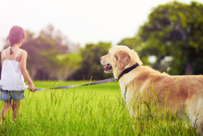 Дети с животными