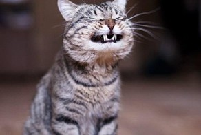 Крутые фотки