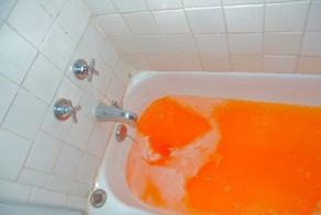 20 интересных фактов об апельсинах