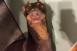 Удивился не на шутку 