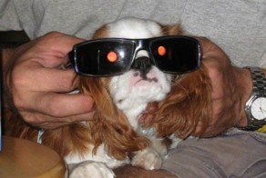 Свежий фотоприкол