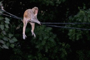 Смешная фотогалерея