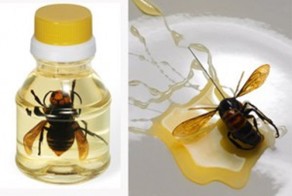 Аппетитные леденцы и не только