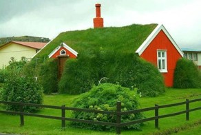 Фотоподборка