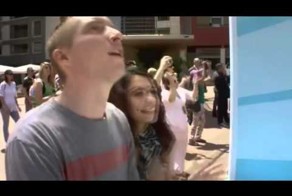 Angry Birds в живую