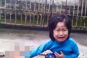 5-летняя вьетнамская девочка нашла свою пропавшую собаку