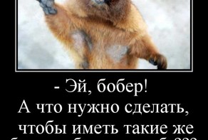 Прикольные фото