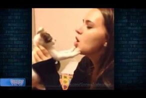 Котяки защищаки