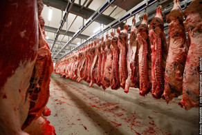 А мне все пофиг, я сделан из мяса!