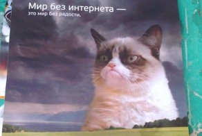 Смешная фотогалерея