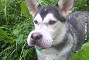 Улетное фото