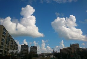 Проверка на упоротость, кто, что, видит 8