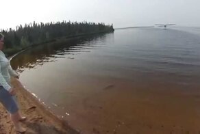 Щуки на охоте, топ 5 атак зубастых хищниц