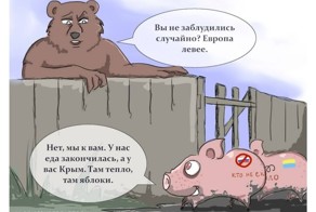 солянка политическая #9