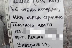  Надписи и объявления