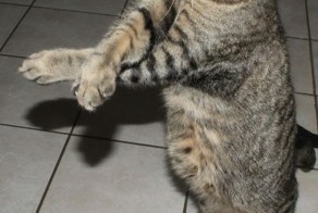 Зачетное фото