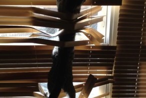 Фотоприкол недели