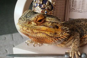 Гифки дня