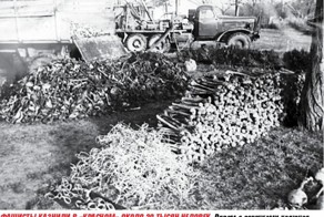 Черным по «Красному», зверства Фашистов в Крыму