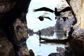 Прикольные фото и картинки от zubrilov за 11.03.2013 №149244