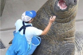 Фотоприкол недели